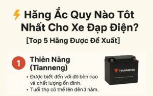 ắc quy xe đạp điện